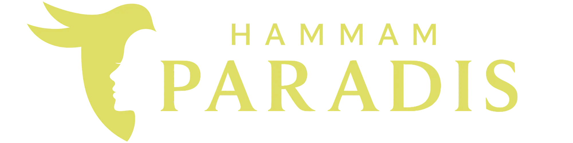 spa hamma paradis logo